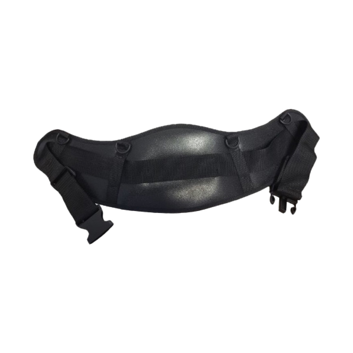 WASP Waist Belt
